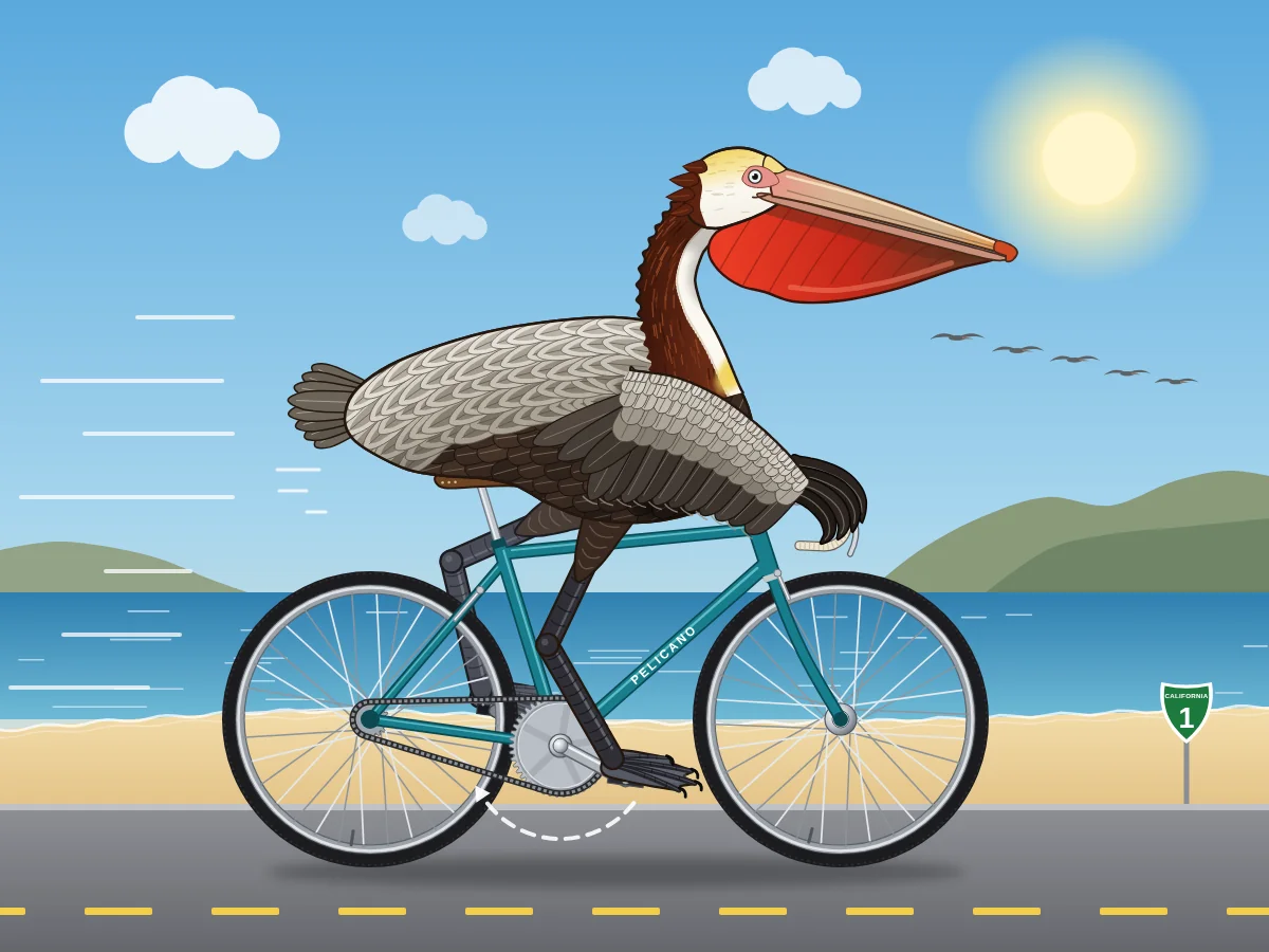 Claude Opus 5.5's SVG for California brown pelican riding a bicycle (detailed spec)