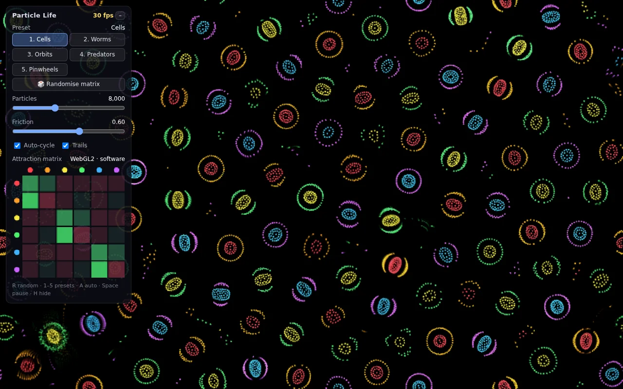 Claude Opus 5.5's output for Webgl particle life sim