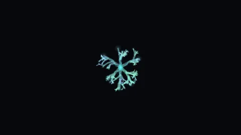Claude Fable 5.1, Raw API (one-shot): 001 Ink Bloom Garden