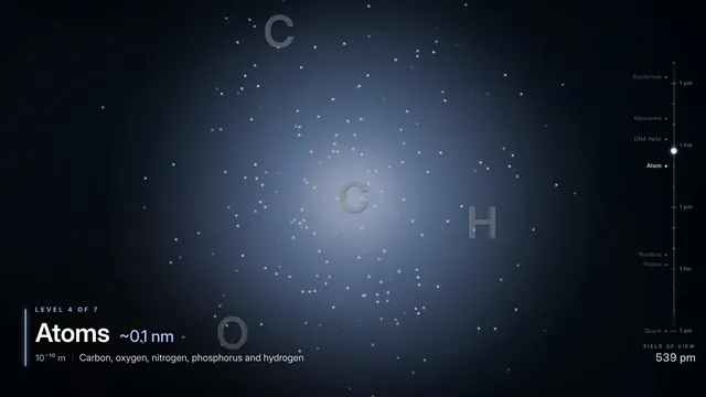 Claude Opus 5.5, Claude Code: Bacterium to quantum zoom