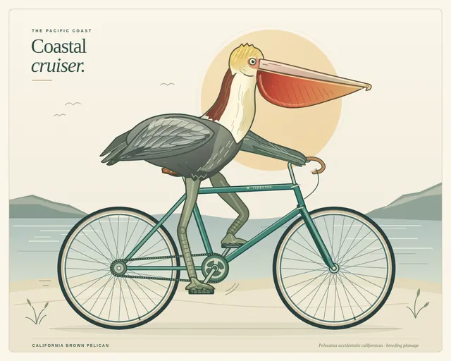 GPT-6 Astra, OpenCode: California brown pelican riding a bicycle (detailed spec)