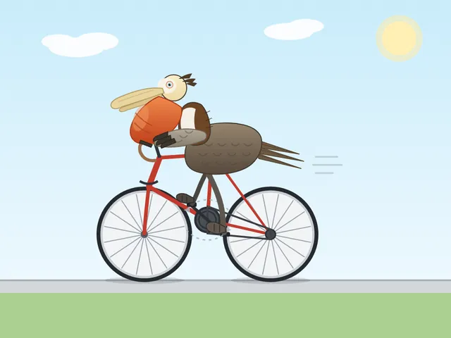 California brown pelican riding a bicycle (detailed spec): LongCat 2.5 Preview, OpenCode