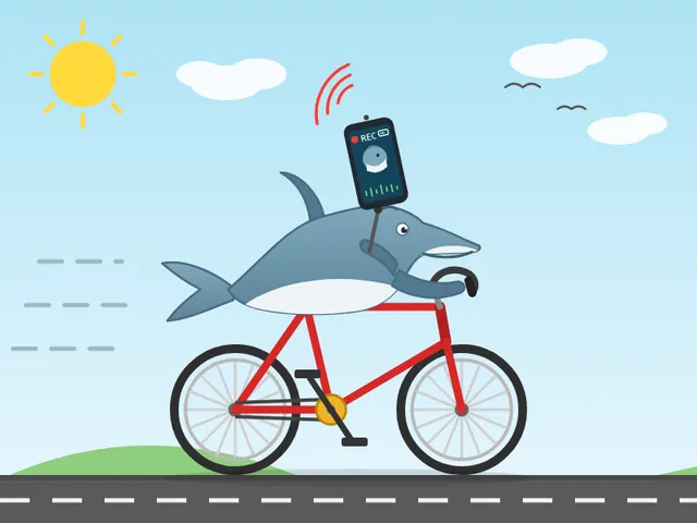 Kimi K3, Kimi Code CLI: Dolphin vlog bicycle