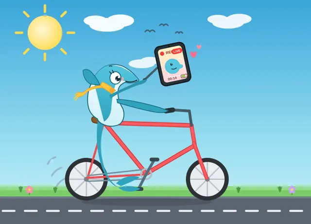 LongCat 2.5 Preview, OpenCode: Dolphin vlog bicycle