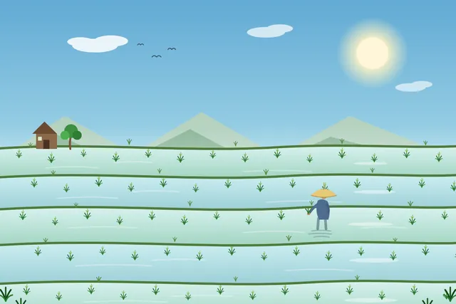 LongCat 2.5 Preview, OpenCode: Rice terraces (agent version)